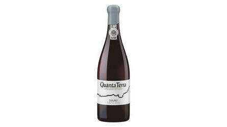 V.t quanta terra manifesto